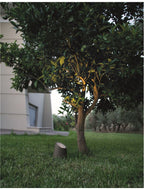 Proiector exterior fatade/plante Nova Luce FOX 9470581