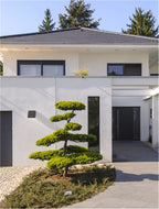 Aplica exterior Nova Luce PARRIS 9492620