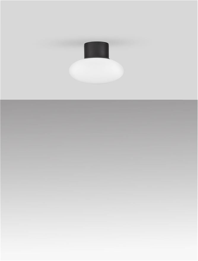 Plafoniera exterior Nova Luce ALI 9971456
