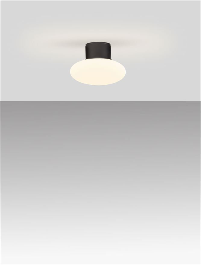 Plafoniera exterior Nova Luce ALI 9971456