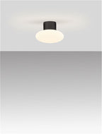 Plafoniera exterior Nova Luce ALI 9971456