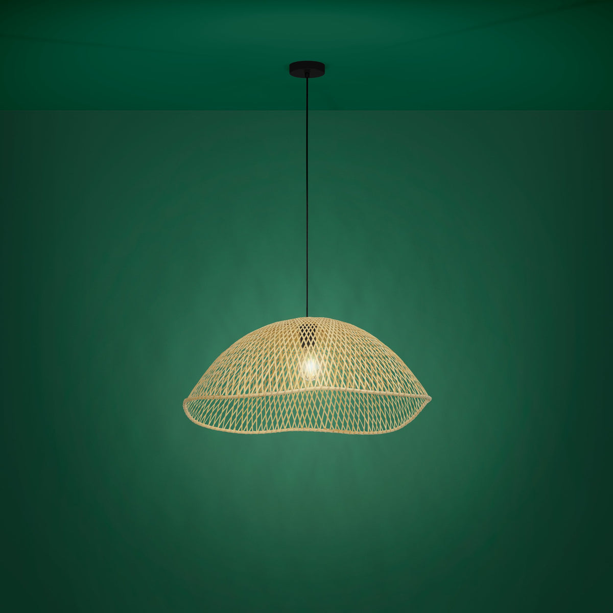 Lustra EGLO SAMBUCONA 390236