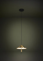 Pendul EGLO PARAGUAY 390271