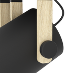 Plafoniera EGLO HORNWOOD 43558