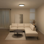 Plafonieră Milagro Slimi Black & White ML9088